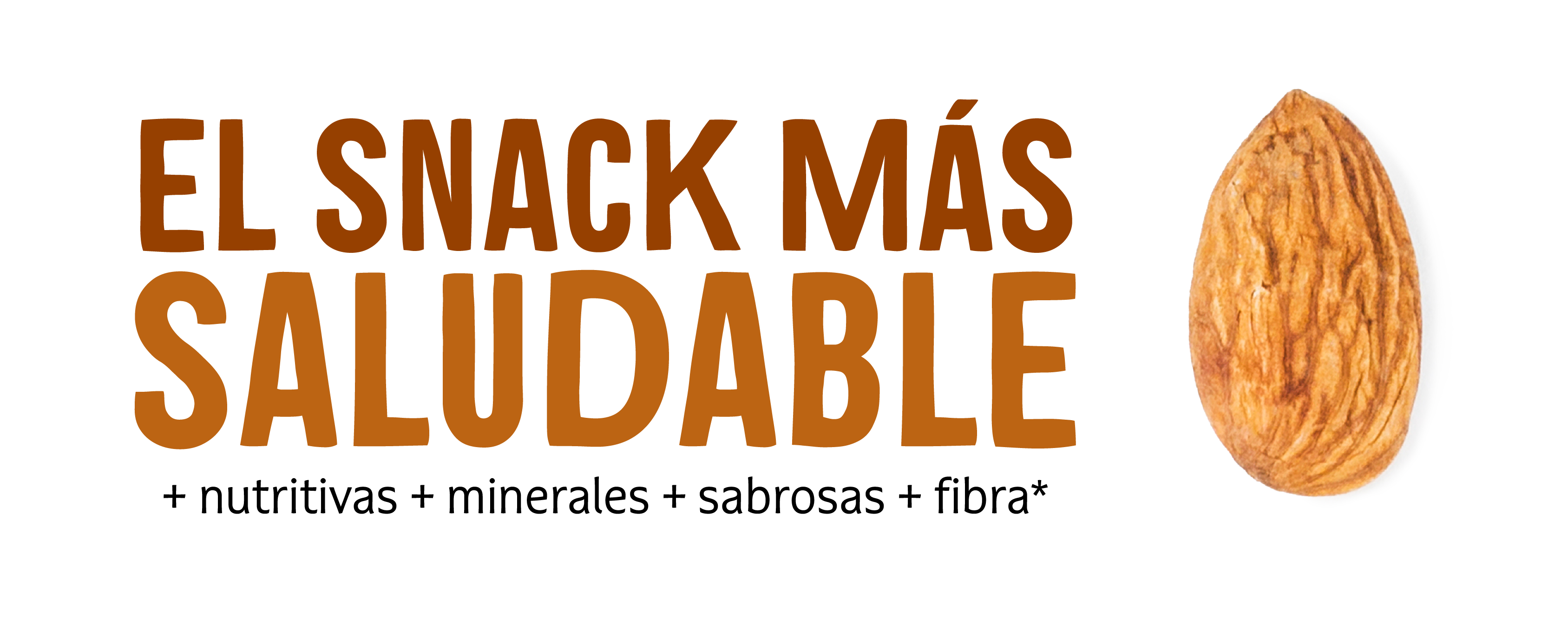 Destaque de frutos secos