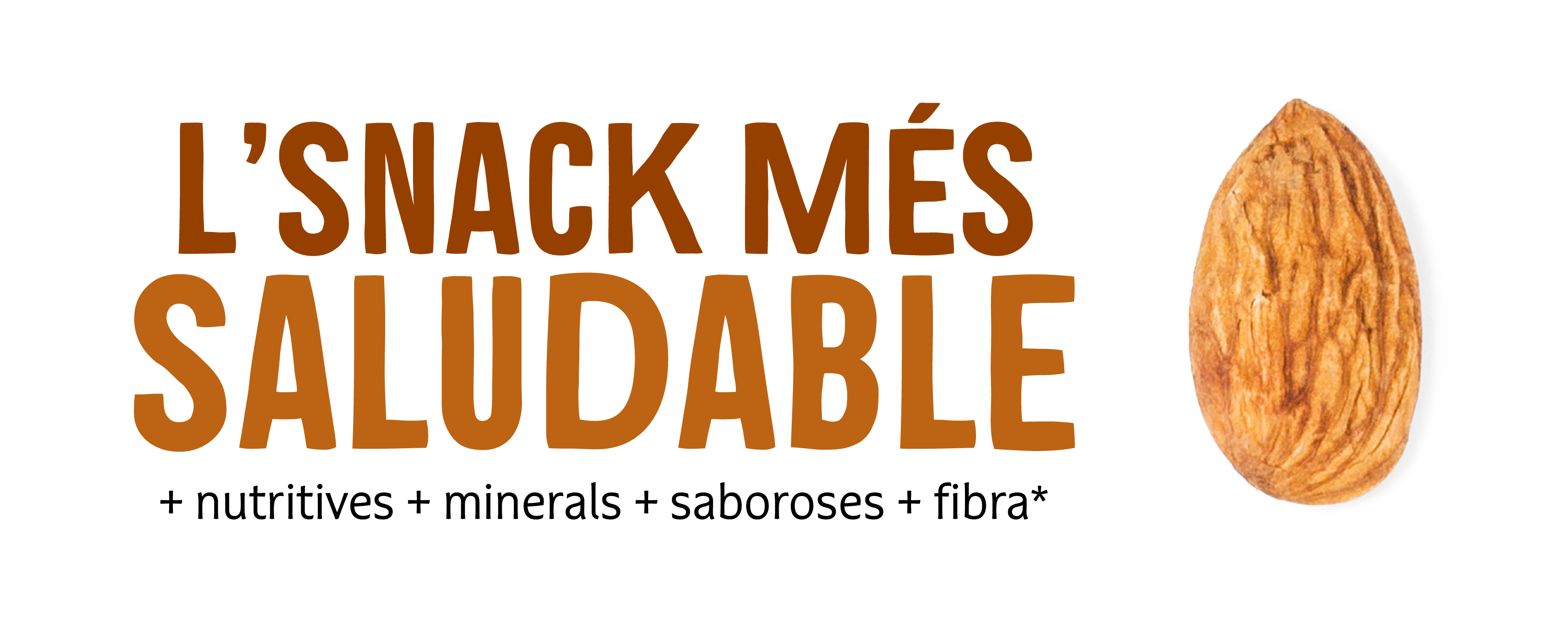 Destaque de frutos secos