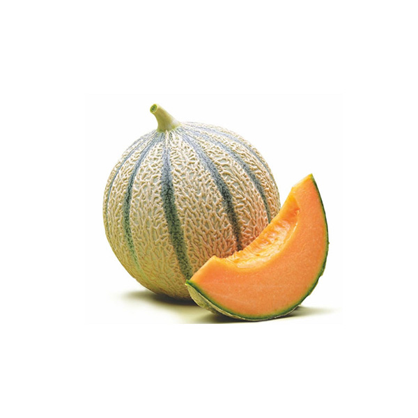 Melón Cantaloup Granel ECO