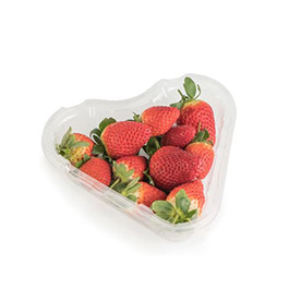 Freson bandeja 250gr 