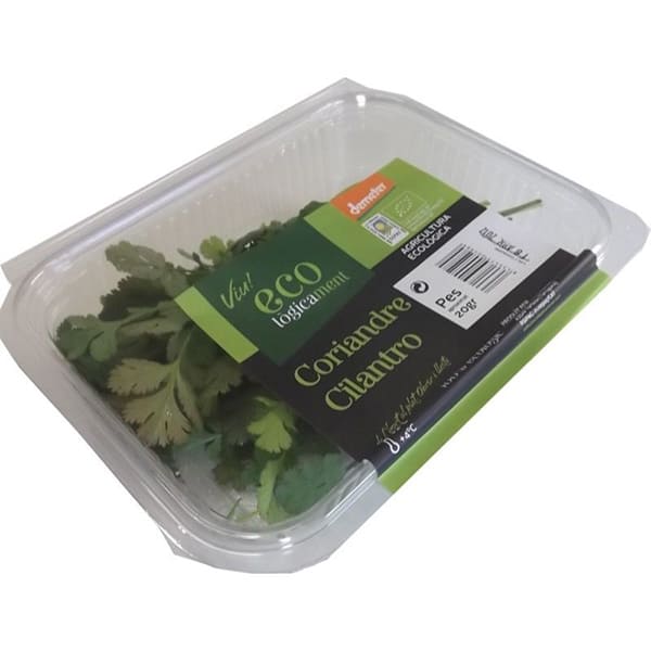 Cilantro fresco 20g
