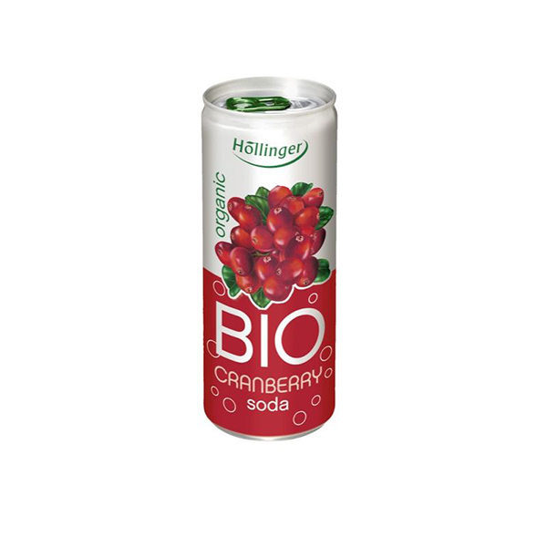 Refresco de arándanos 250ml
