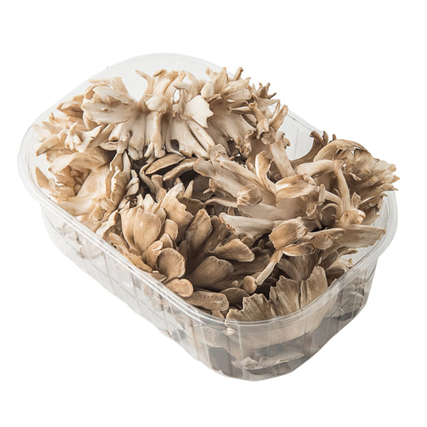 Bolet maitake safata 125g ECO