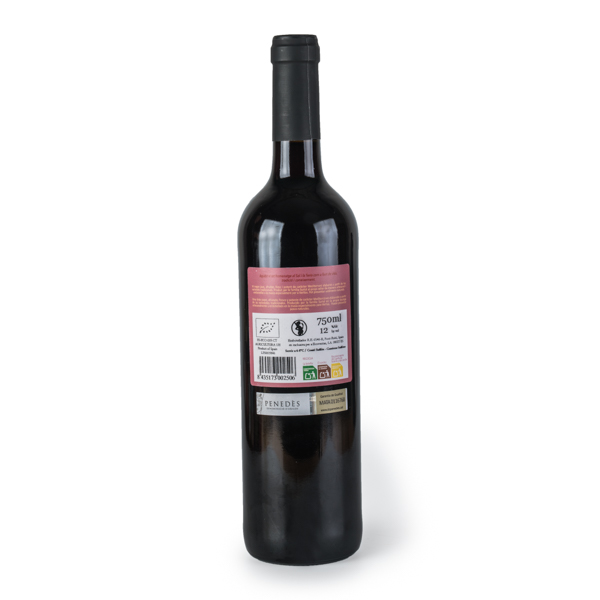 Vino Tinto Castell de Soterra Crianza ECO