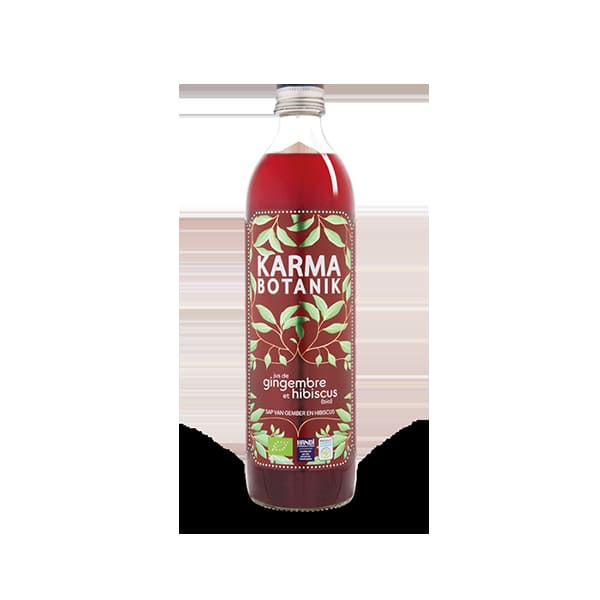 Suc Gingebre500ml ECO