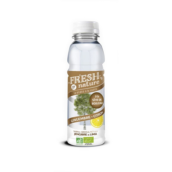 Sabia d'abedul i gingebre 330ml ECO