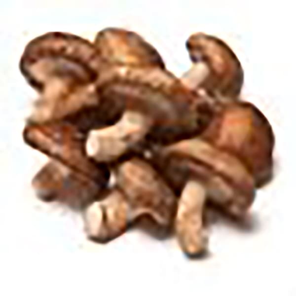 Shiitake GR Granel ECO