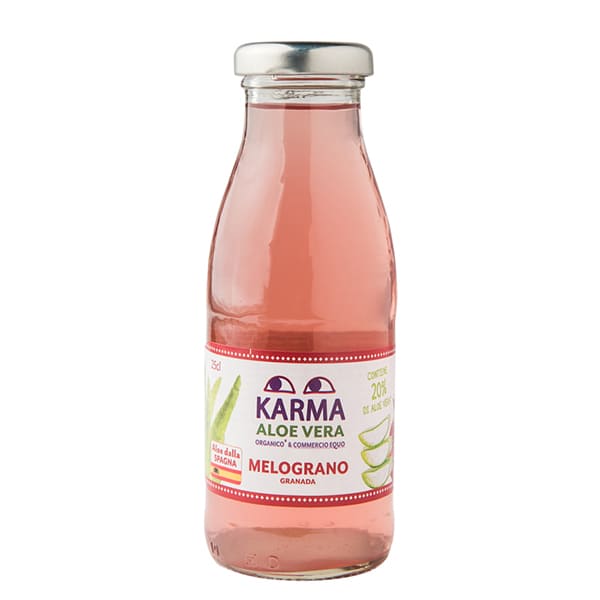 Suc Aloe/Magrana 250ml ECO