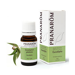 Aceite eucalipto 10ml ECO