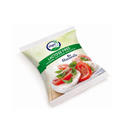 Mozarella sense lactosa 100g ECO