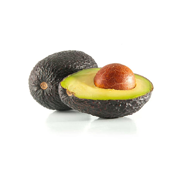 Aguacate reed ECO