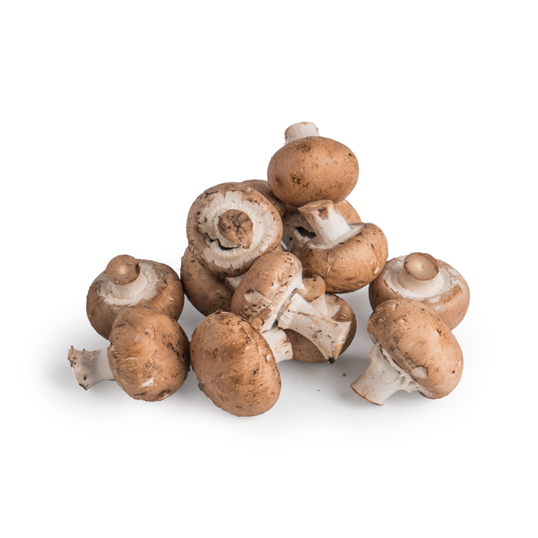 Champiñon Portobello GR ECO