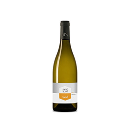 Vino Blanco Saial - Pla de morei ECO