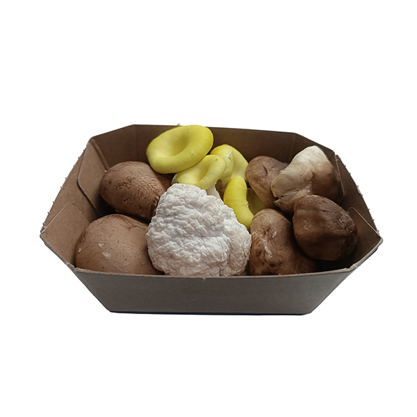 Mix bolets 200g ECO
