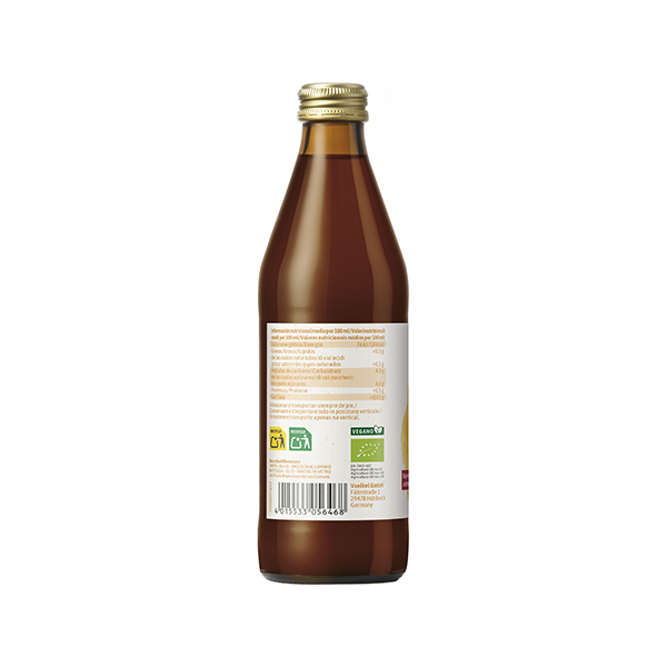 Kombucha frutos rojos 330ml ECO