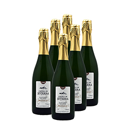 Pack cava brut natur 6u 75cl ECO