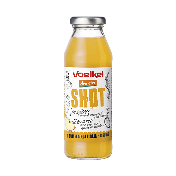 Shot de gingebre 280ml ECO