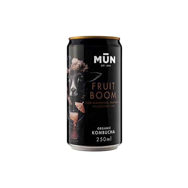 Kombucha fruit boom 25cl ECO