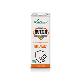 Bebida avena equinácea 1l ECO