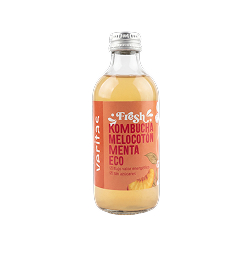 Kombutxa menta préssec 250ml ECO