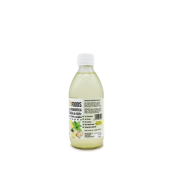 Bebida probiótico menta limón jengibre ECO