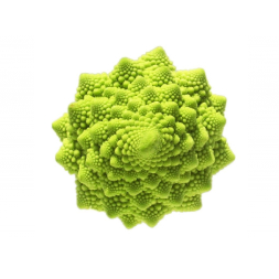 Romanesco unidad ECO